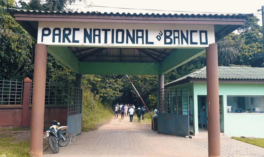 Visite scientifique dans le parc national du Banco (Abidjan)